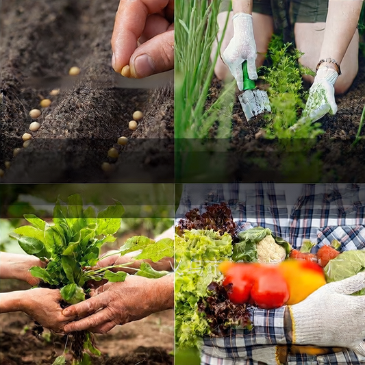Survival Vegetable Seed Bank Kit