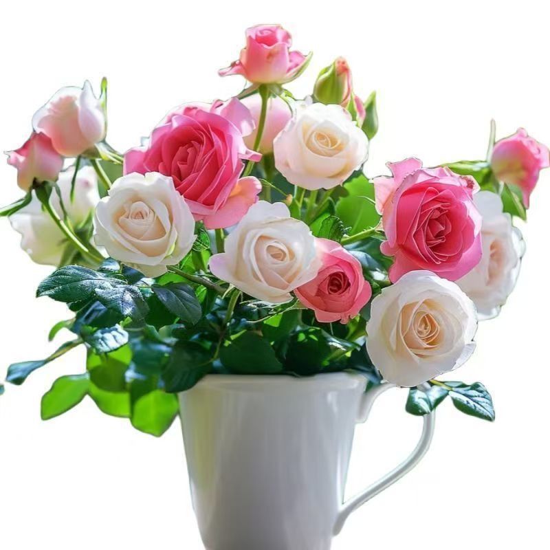 c7122b4c5484ec27577bb0455abff935