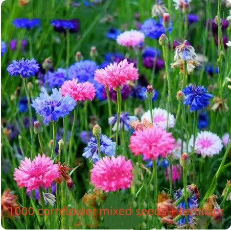 7d83512d8987bcc01df07f10bfa7e17f