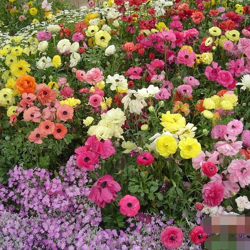 7d0225e34f80f43cea68d27bc79f18d9